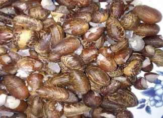 Coquitos de aceite, pequeños y deliciosos