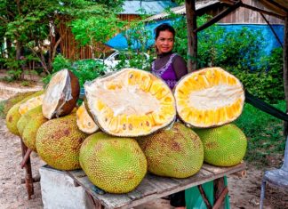 La yaca, una delicia que te ofrece el bello puerto de San Blas