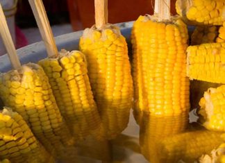 Jala Nayarit y su inigualable elote amarillo