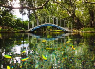 Ahuacatlán : el paraíso de los balnearios naturales
