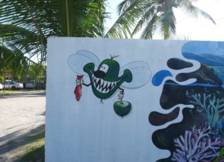 San Blas y la temida “hora del jején” aprende a combatir al molesto mosquito