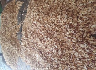 Cacahuates “Cande” una maravilla de Amatlán de Cañas