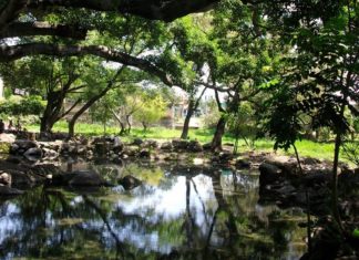 Pantanal y su refrescante ojo de agua