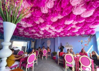 “Mamá Lupita” un bello lugar para degustar comida tradicional