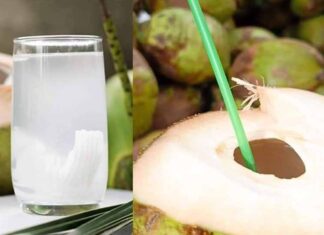 Agua de coco, refrescante y benéfica para nuestro cuerpo