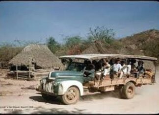 Los entrañables “camiones tropicales” tiempos que no se olvidan…