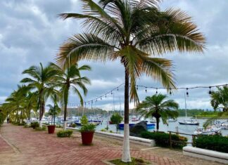 Conoce el malecón de Nuevo Vallarta : chiquito pero bonito