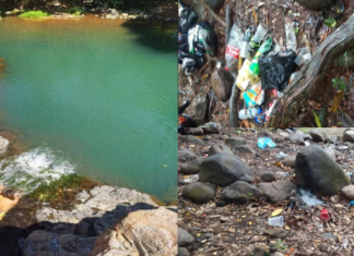 El mamey un hermoso lugar natural que comienza a ser un basurero