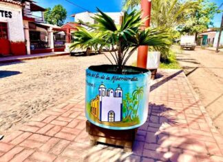 Un rincón nayarita donde las lavadoras viejas se convierten en macetas