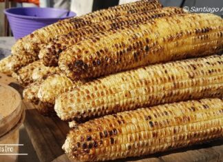 Elotes asados, una deliciosa tradición