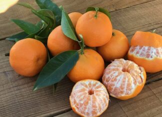 La temporada de mandarina ya está aquí
