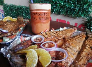 Ya están en Tepic: “CANTARITOS DE TEQUILA” ESTILO AMATITAN