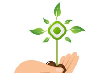 Conoce este interesante proyecto…