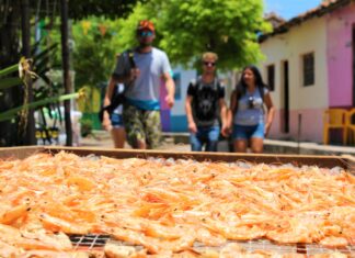 LOS SABORES DE NAYARIT: SECRETOS DE MAR Y TIERRA