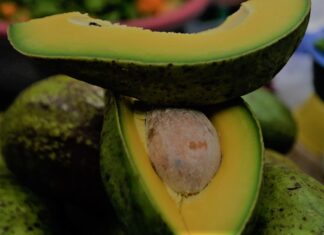 Guacamole “El protagonista del Súper Bowl”