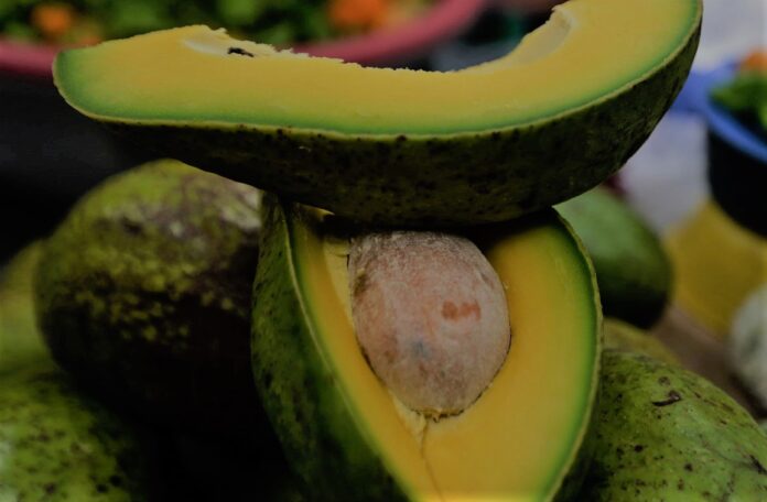 aguacate-mundial-1