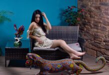 Visita el único Hotel Wixárica en Tepic