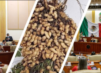 Atienden productores de cacahuate llamado del Congreso a reducir uso de pesticidas
