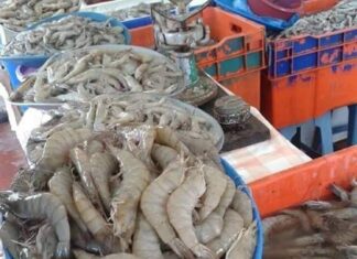RECETA: Camarones estilo Acaponeta