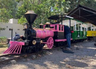 El Trenecito de La Loma está de regreso…
