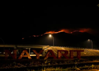 Estiman más de mil 200 hectáreas afectadas en incendio del Sangangüey
