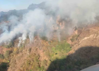 Prevalecen activos dos incendios forestales en Nayarit