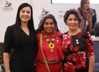 Nayarit, presente en la XIV Asamblea Plenaria de la Conferencia Permanente de Congresos Locales COPECOL, con sede en el histórico Guanajuato.