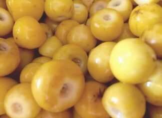 AGUA DE NANCHI, UNA BEBIDA PARA PREPAR FÁCIL Y RÁPIDO EN CASA.