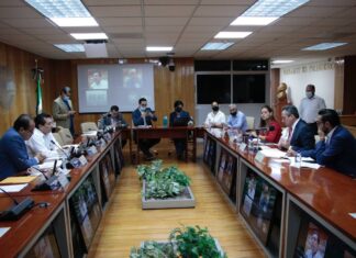 Concesiones de transporte público no podrán ser heredadas