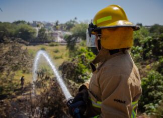 Legisla Congreso a favor de la prevención de incendios forestales