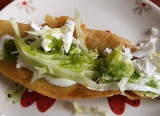 Quesadillas con carne deshebrada