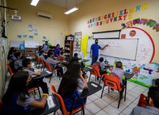 Legisla Congreso profesionalizar la orientación vocacional en instituciones educativas