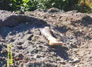 Ven pierna semienterrada y descubren fosa clandestina.