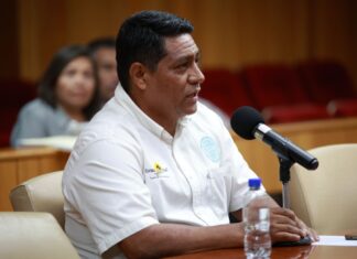 “Un Congreso abierto encuentra la democracia y representatividad”: diputada Alba Cristal