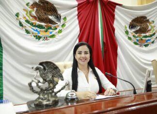 Avala Cámara de Diputados 87 resoluciones legislativas