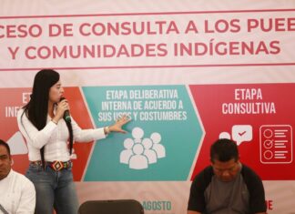 “Cuidarlos, respetarlos, escucharlos y saber que piensan”: diputada Alba Cristal
