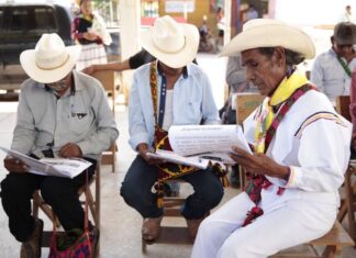 Concluye con éxito etapa informativa de consulta a pueblos originarios