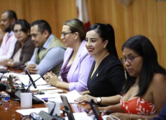 “Las voces de las personas con discapacidad serán atendidas”: diputada Alba Cristal