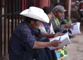 Traducen a lengua materna iniciativas legislativas puestas a consulta de pueblos originarios
