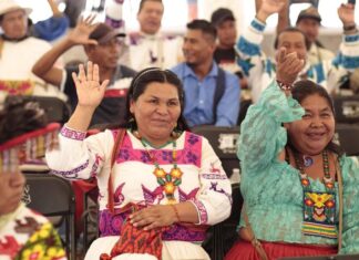 Grupos vulnerables serán protagonistas en procesos electorales