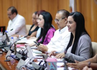 Grupos vulnerables ya no serían relegados en procesos electorales