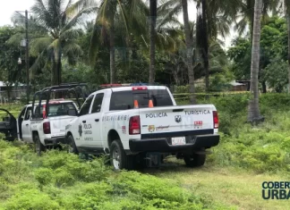 Salió a cortar cocos y después lo hallaron electrocutado y sin vida