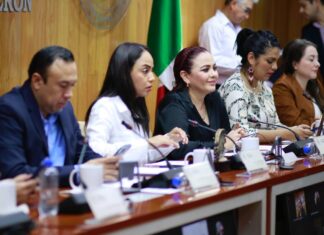 Elegirá Congreso presidenta o presidente de la Comisión de Defensa de Derechos Humanos