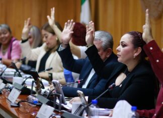 Legisla Congreso a favor del bienestar de personas con discapacidad y medio ambiente