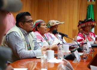 Dictamina Congreso Ley de Educación Superior del Estado de Nayarit