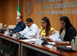 Prepara Congreso reforma para reparar daño a mujeres víctimas de feminicidio