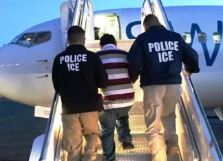 SAT: Mexicanos deportados también tendrán que regularizar su situación fiscal