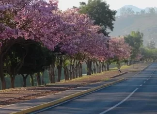Un anticiclón podría adelantar la primavera para Nayarit