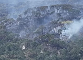 Más de 145 hectáreas del San Juan han sido arrasadas por el incendio