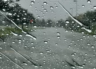 Las lluvias hacen su trabajo: Nayarit sin incendios forestales activos